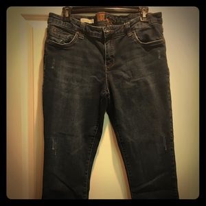 Kut from the Kloth  Carlo ankle Skinny